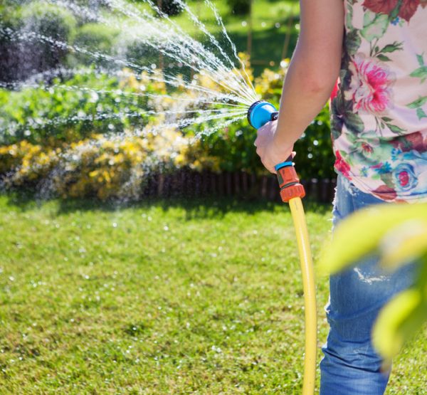 Woman's hand with garden hose watering plants Woman's hand with garden hose watering plants