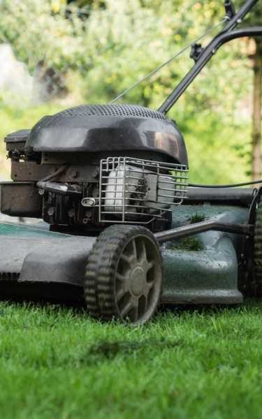 The Farming Season