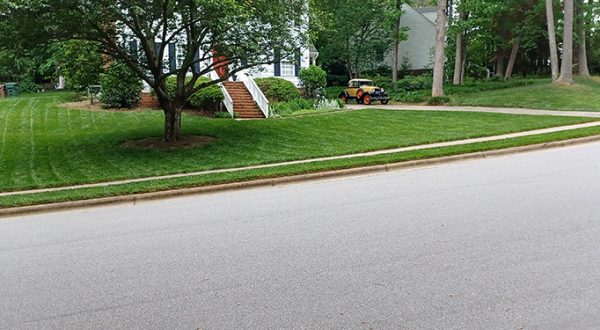 lawn